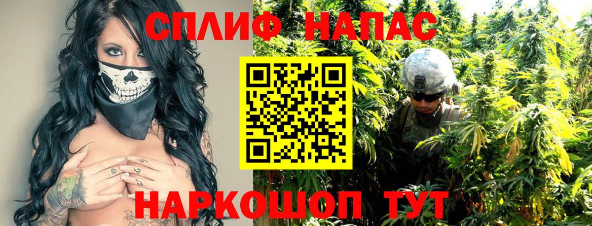 Лесной  Бошки марихуана индика  Марихуана гибрид  Вход с VPN 